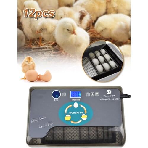 Newest Farm Hatchery Incubator Brooder Machine 12 Egg Hatchers Cheap Price Chicken Automatic Eggs Incubator Bird Quail Brooder