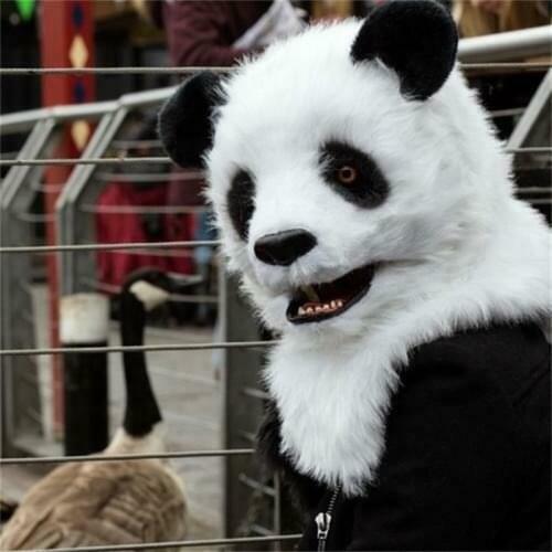 New Happy Carnival Mascot Halloween Panda Cosplay Performance Costume Adult Use Birthday Party Advertising Parade Set