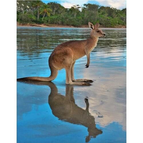 Full Square Round Diamond Painting animal kangaroo 5D Diy Diamond Embroidery Sale 3d Picture Mosaic Rhinestones Decor YG1136