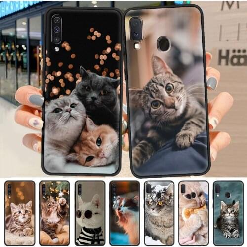 Case for Samsung Galaxy A50 A70 A10 A20e A30 A40 M31 M51 M30s M21 Bumper Soft Phone A12 A20s A10s Coque Funda Animal Pet Cat