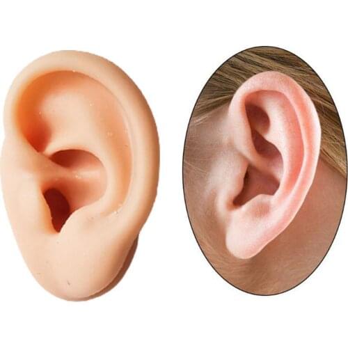 Simulation Soft Silicone Human Ear Model Ear Point Ear Stud Earphone Model Taking Medical Teaching Display Props