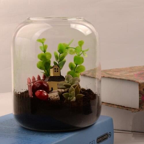 12*19cm Glass Terrarium Vase Fleshier Plant Bottle Diameter=12cm Height=19cm Microscape Hydroponic Plants Wedding Decoration