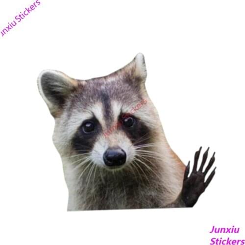 Personality 3D Raccoon Vinyl Waterproof Car Window High Quality Accessories Vinyl Motorcycle Decorative PVC 13cm X 11cm