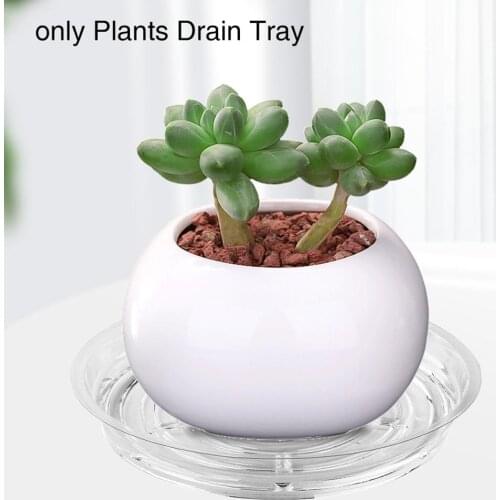 10Pcs Plastic Home Garden Flower Pot Plant Labels Tags Planter Tray Saucers