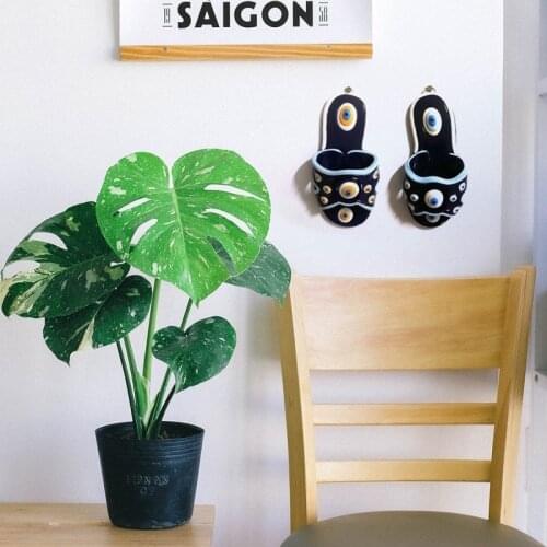 Albenicam Blue Dream Catchers