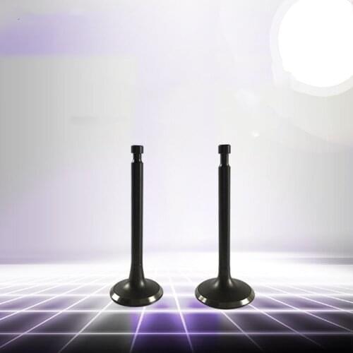 1 SET 177F 173F GX270 GX240 intake valve and exhaust valve For Gasoline generator spare parts
