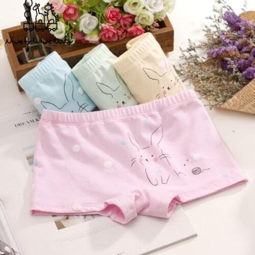 6pcs/lot Baby Girl Panty Cotton Underpants Girls Underwear Kids Cute Cartoon Comfortable Panties Childrens Underwear for girls