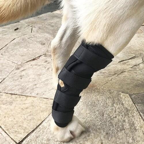 Knee Brace For Dogs Rear Dog Compression Rear Joint Wrap Protects Wounds Prevent Arthritis Injury