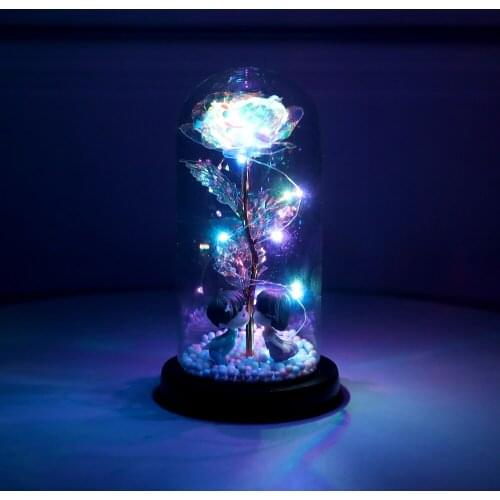 LED String Lights Glass Cover Artificial Rose Valentines Day Birthday Gift Proposal Wedding Holiday Home Decoration