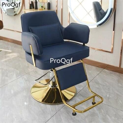 Ngryise 1 set lounge salon Relax Professional Chair three color choice