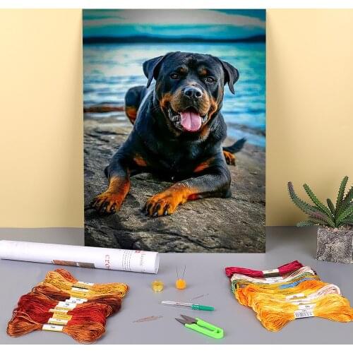 Animal Dog Rottweiler Printed Water-Soluble Canvas 11CT Cross-Stitch Set DIY Embroidery DMC Threads Sewing Different