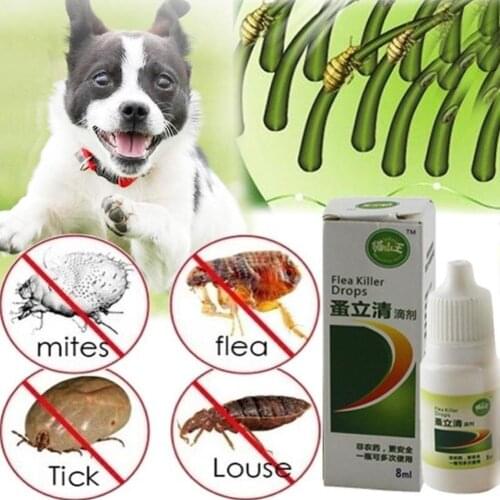 8ml Pets Anti-flea Drops Dogs Insecticide Flea Lice Insect Killer Liquid Cat Skin Healthy Care Spray Deworming Treat Products
