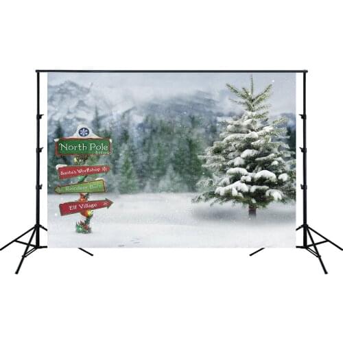 Winter Snowing Forest Road Guidepost Landscape Christmas Backdrop Noel Pine Trees Party Banner Kids Portrait Studio Background