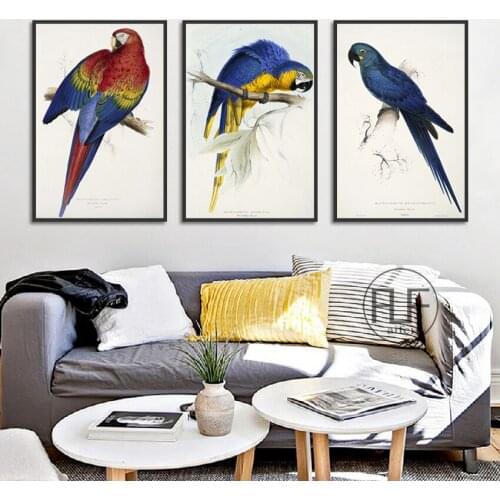 Nordic Decoraion Home Animal Wall Art Pictures Color Parrot Canvas Painting Modular Posters and Prints for Living Room Decor