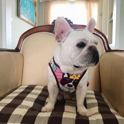 Pet Vest Cartoon Pattern Elastic Cotton Dog Life Jacket Fashion Printed T-shirt for Casual Swimwear Pets Swimming Suit