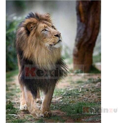 Kexinzu 5D DIY Full Square/Round Drill Diamond Painting "Lion animal" 3d Diamond Embroidery Cross Stitch home Decor Gift XF01