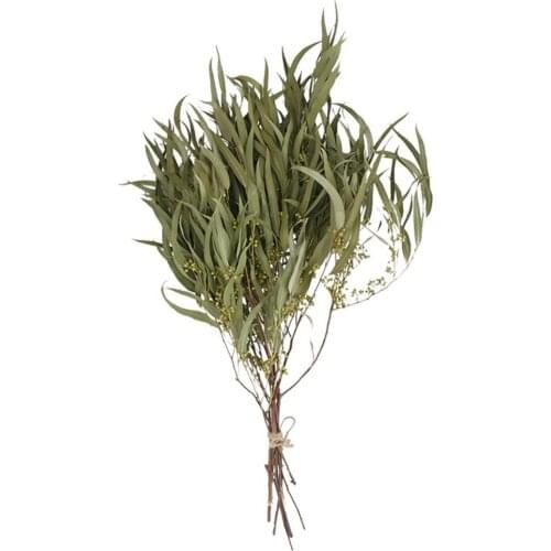 5pcs ECO natural plants wedding home decor dried eucalyptus stems green plants branches