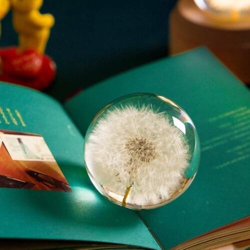 Real Dandelion Crystal Glass Resin Lens Ball Natural Plants Specimen Feng Shui Flowers Christmas Love Gift Home Decor Globe