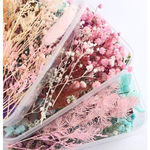 Dried Flower Plants for Aromatherapy Candle Epoxy Resin Pendant Necklace Jewelry Making Craft DIY Accessories