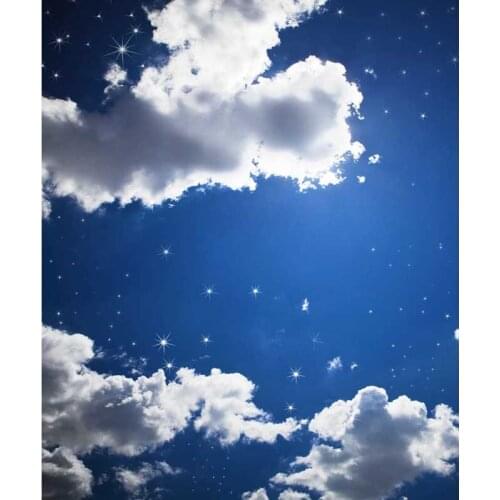 Vinyl Cloth Photography Backdrops Blue Sky and White Clouds Backgrounds for Photo Studio Children Baby Shower Newborn Customized