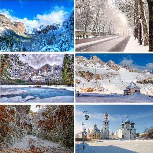 SHENGYONGBAO Vinyl Custom Photography Backdrops Prop Winter landscape Theme Photography Background 200309HD-011