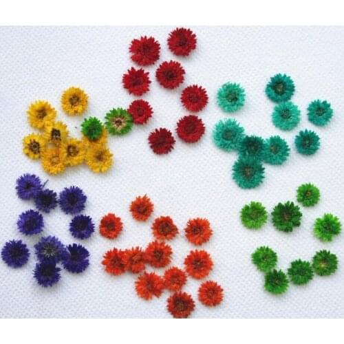 250pcs Pressed Dried Anaphalis Flower Plants For Epoxy Resin Pendant Necklace Jewelry Making Craft DIY Accessories