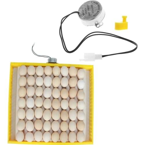 220V AC Egg Automatic Incubator For Farm Eggs Broedmachine Mini Egg Chicken Duck Quail Hatcher Pigeon Birds Incubator Brooder G1