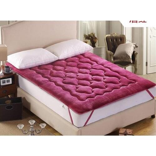 Multifunctional Folding Tatami Thicken Farley velvet plum blossom mattress Bedding article