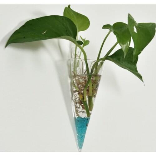 Wall ing Cone Glass Flower Planter hydroponic VaseTerrarium Container