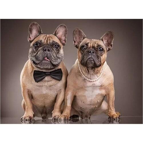 Animals diamond mosaic bull dog embroidery painting rhinestone wall stickers decoration diamond drawing art needlework handcraft