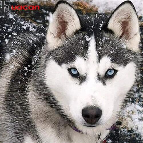 Huacan Full Square/round Diamond Painting Dog Animal Home Decor Embroidery Mosaic Husky Snow Diamond Art Wall Stickers