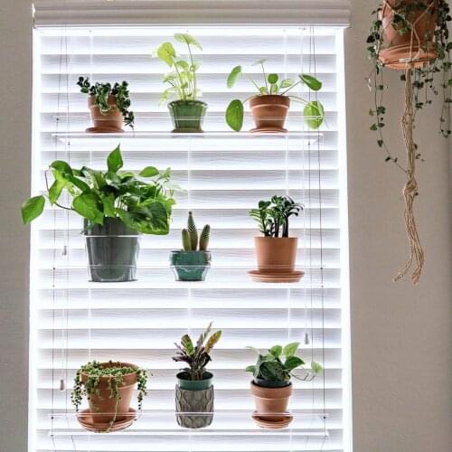 Heouty Plant Racks