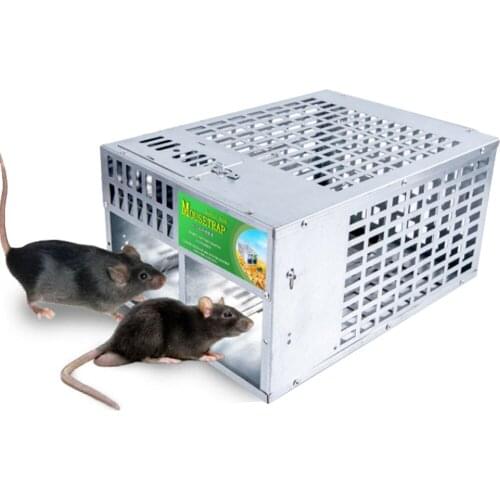 Stainless Iron Galvanized Steel Mouse Trap Rat Bait Station Rodent Catching Cage