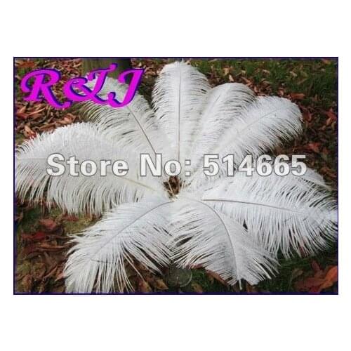 Wholesale 20PCS 20-22inch 50-55cm white OSTRICH FEATHER real ostrich drab feathers EMS Free Shipping