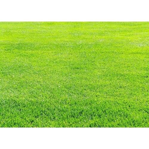 Grassland Photography Background Computer Printed Backdrop for Children Birthday Party Baby Shower Photocall Fond Photo Props