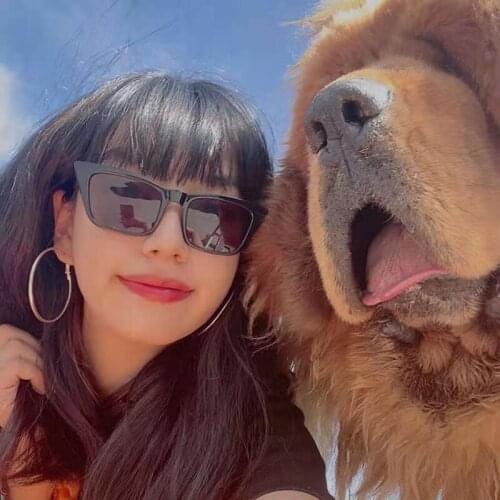 Fashion Mini Square Sunglasses Women Designer Luxury Man/Women Cat Eye Sun Glasses Classic Vintage UV400 Outdoor Oculos De Sol