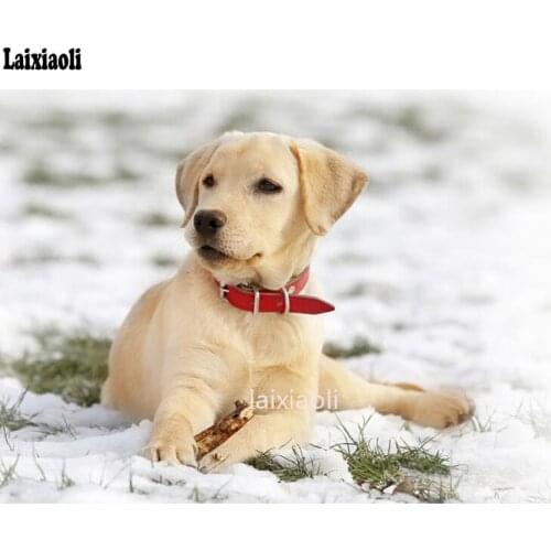 5D DIY Diamond Painting Labrador Retriever Full Rhinestone Cross Stitch pet Dog custom Diamond Mosaic Embroidery Christmas Gift