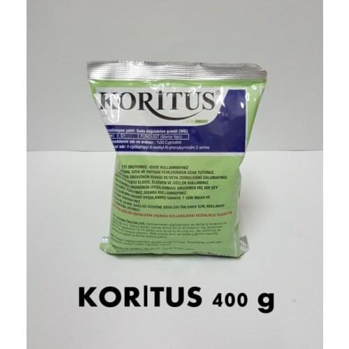 KORITUS 400 GR