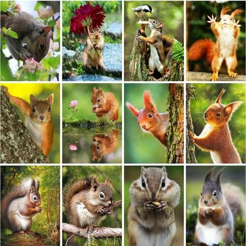 EverShine 5D Diamond Painting Squirrel Picture Rhinestones Mosaic Art Kits Diamond Embroidery Animals Handmade Gift Home Decor