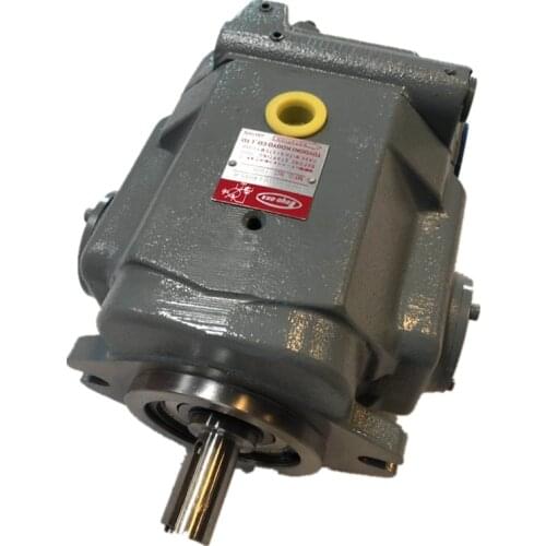 Japan TOYOOKI HPP series HPP-VD2V-F31A3-EE-A hydraulic oil pump HPP-VD2V-L31A3-EE-A-G piston pump