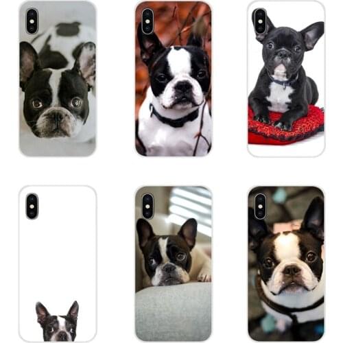 Accessories Phone Shell Covers Animal boston terrier dog For Huawei Mate Honor 5X 6X 7 7A 7C 8 9 10 8C 8X 20 30 Lite Pro