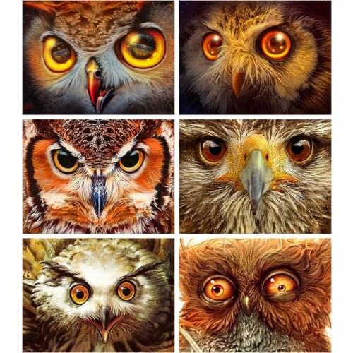 Animal Owl 5D DIY Diamond Painting Cross Stitch Full Square Round Drill Bird Mosaic Embroidery Craft Home Room Decor Art