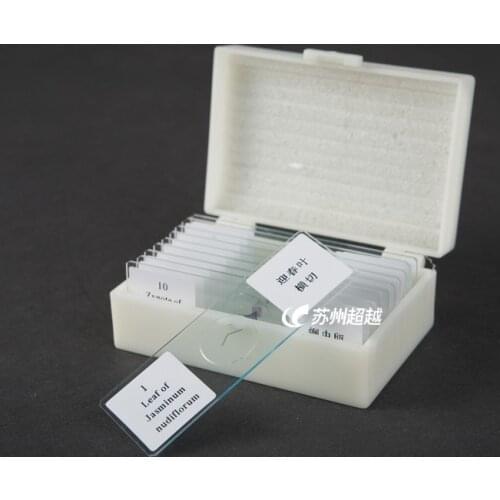 Free shipping Microscope slide slice 11 pcs/ set were mounted box