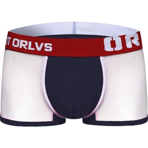 2020 ORLVS Brand New designed Brand Men Underwear Briefs Slip Mesh Shorts Cueca Gay men sexy Male panties Breathable OR148
