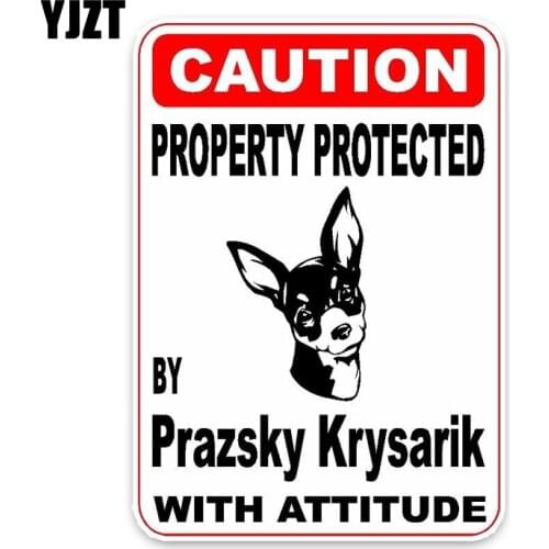 YJZT 10*14.2CM Property Protected By Prazsky Krysarik Dog Car Decoration PVC Car Sticker Decal C1-4606