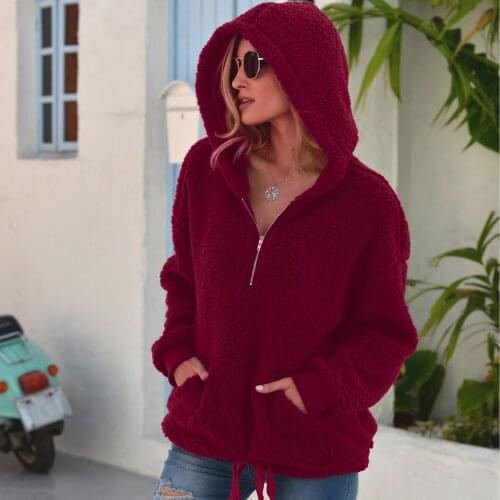 Women Winter Jacket Plush Warm Pullover Tops Clothes Fashion Hipster Female Hooed Coat Ropa Para Mujer Zipper Loose HoodiesSolid