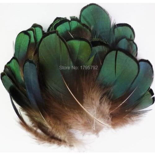 20 / 50 pcs Precious 4-8cm Chicken Feathers manufacturers selling pheasant plumes for jewelry accessories/green DIY decorations