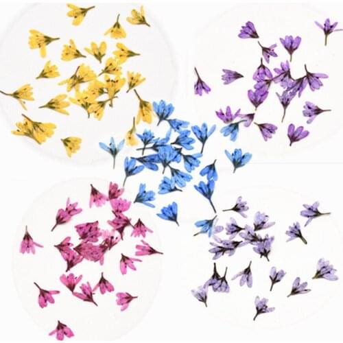 120 Pressed Dried Lysimachia Barystachys Bunge Flowers Plant Herbarium Jewelry Postcard Invitation Card Phone Case Bookmark DIY