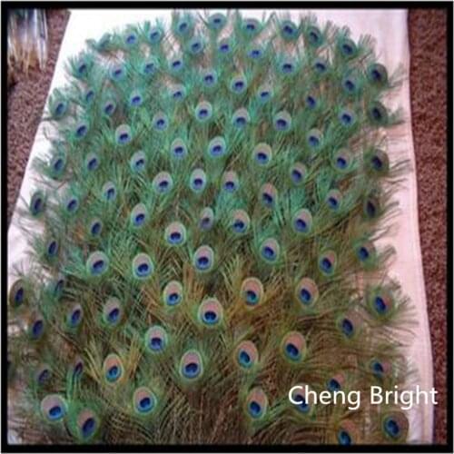 New! 50 pcs / Lot of Beautiful Peacock Feathers 25-30cm / 70-80cm DIY Weddings, Reunions, Earrings Accessories, Flower Arrangeme