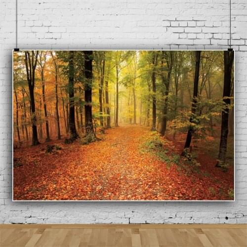 Laeacco Autumn Backgrounds Forest Yellow Fallen Maple Leaves Park Way Natural Scenic Photocall Poster Photographic Backdrops